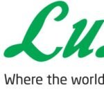 Buy Omela Tea Milk 160ml Online - Lulu Hypermarket…